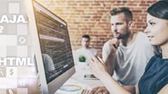 Web Developer