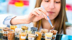 Ασφάλεια (HACCP) και Ποιότητα Τροφίμων: Πρότυπα ISO22000:2005 και ISO9001:2015