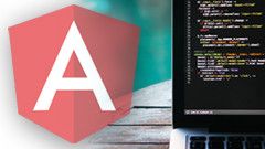 AngularJS Developer