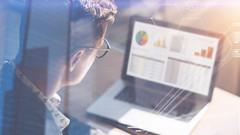 Business Analyst