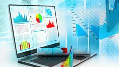 Data Analyst