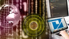 Blockchain Developer