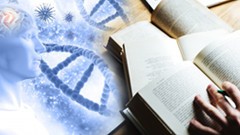 Η Επιδημία ως Θέμα και ως Mεταφορά στη Λογοτεχνία