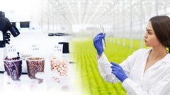 HACCP: Food - borne Biological Hazards Analysis
