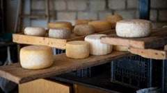 Παραγωγή Γαλακτοκομικών Προϊόντων