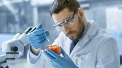 Χημεία Τροφίμων και η Τεχνολογία της Διατροφής