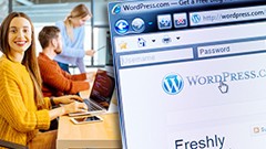 WordPress Developer