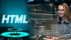 Back End Developer
