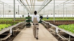 Δημιουργία και Διαχείριση Αγροτικών Επιχειρήσεων