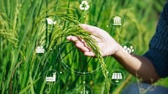 Εφαρμογή Συστημάτων και Εργαλείων Αειφορίας στην Αγροδιατροφική Αλυσίδα Παραγωγής Τροφίμων