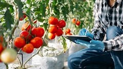 Εξαγωγές και Marketing Tροφίμων