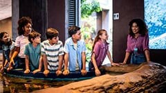 Σχολική Εκδρομή και Εκπαιδευτικός Τουρισμός: Σχεδιασμός, Οργάνωση και Βιωματική Μάθηση