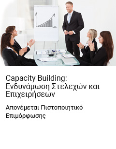 Capacity Building: Ενδυνάμωση Στελεχών και Επιχειρήσεων